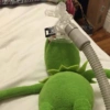 Kermit the frog 12
