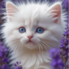 Curious Cat with Lavender