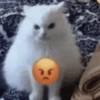 RAIVA/ODIO/IRA 6 😾