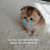 Gatitos 1 5