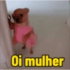 Cachorro  5