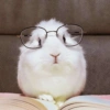 🐹Ratitas cutes🐹 7