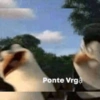 Memes con texto 2 🏝️👀 7