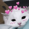 envia para o mozão | amor ❤️ 16 🐱