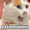 AAARRRGHHHHH