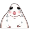 🐭🐀 Hamster 4 🐭🐀 12