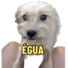 Aleatório 28