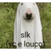 slk (vce louco