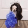Perritos Elegantes 🍑🍷 7