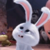Snowball triste/preocupado 🐰 5