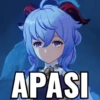 Meme genshin 8