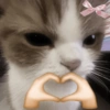 Stiker kucing with emoji kyut 3