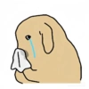 Dog 8