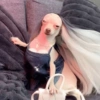 Perritos Elegantes 🍑🍷 8