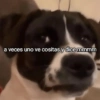 💥Shitpost 41💣 9