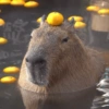 Banho de Laranja