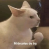 Miércoles de ira