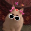 Gatitos Random ✨️😻 12