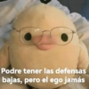 Podre tener las defensas bajas, pero el ego jamás