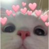 ❤️ Buenos días Amor 🥰Bza 10
