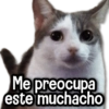 MIX de Memes #8 🏆👥 10