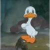 Classic duck dance