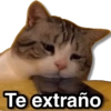 Te extraño
