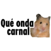 Qué onda carnal @ballolet88