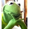 Kermit the frog 9