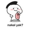 Pentolayam 8
