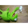 Kermit the frog 28