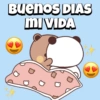 Buenos dias BUBU 🐼❤️ 10