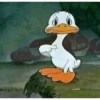 Pato preocupado