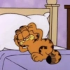Garfield Cat 6