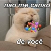 não me canso de você