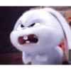 Bunny kelinci 9