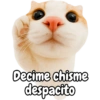 Frases de gatito #2🐱💬 12