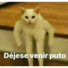 Tumba la casa mami😎 15