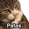 Patas