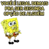Bob sincero 7