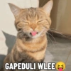 GAPEDULI WLEE