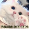 ➳ gato ⊱😽⊱╮
bit.ly/angels-69 15