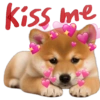 Kiss me