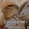 Sábado de reposo
