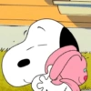 Snoopy shows🪄 2✨ 15