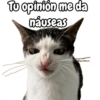 Tu opinión me da náuseas