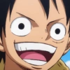 Luffy 13