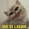 PATADAS COM DEBOCHE 😠😤 3