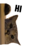 HI