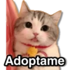 Adoptame